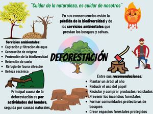 PORTAFOLIO DE EVIDENCIAS
