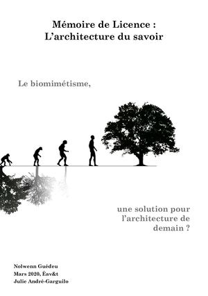 Mémoire Nolwenn Guédeu