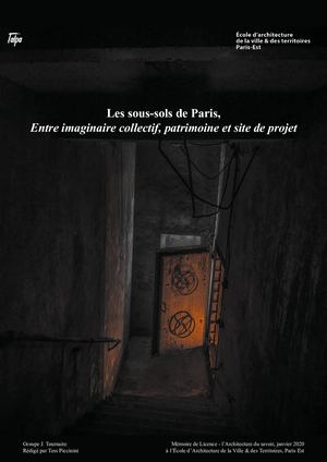 Mémoire Tess Piccinini