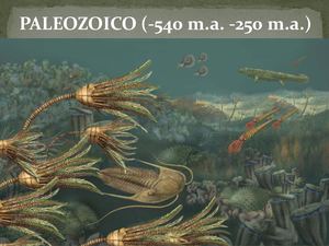 El Paleozoico