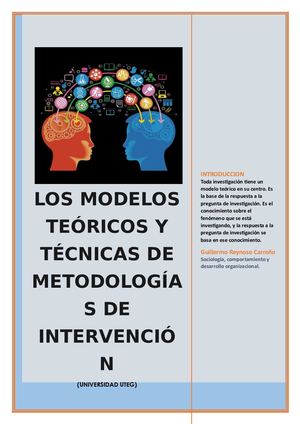 Los Modelos Teóricos Y Técnicas De Metodologías De Intervención