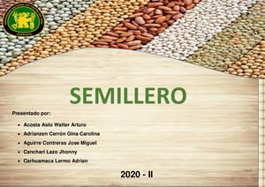 Semillero Final