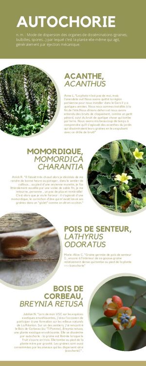 "Bouge ta graine", synthèse de l'activité