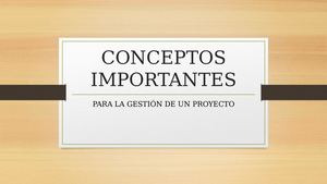 Conceptos Básicos Para Gestión De Proyectos