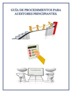 Guía De Procedimientos Para Auditores Principiantes Pdf