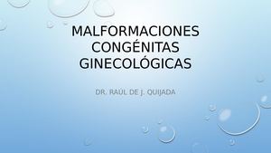 Anomalias Congenitas Genitales 21