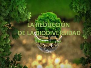 La Reducción De La Biodiversidad
