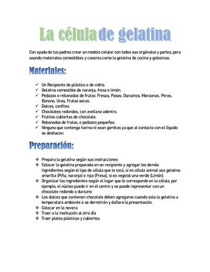 La Célula De Gelatina
