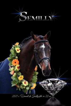Catalogue des étalons SEMILLY 2021
