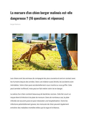 La Morsure D'un Chien Berger Malinois Est Elle Dangereuse