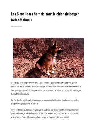 Les 5 Meilleurs Harnais Pour Le Chien De Berger Belge Malinois
