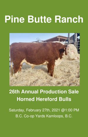 Pine Butte Ranch 2021 Catalogue