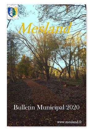 Bulletin Municipal Mesland 2020