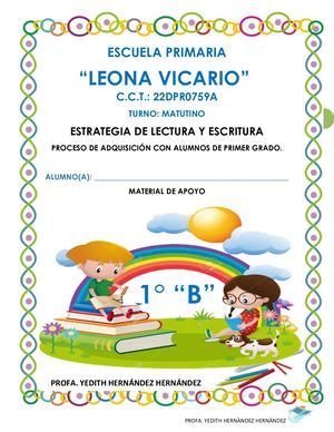 Proceso De Lectura Y Escritura, Manual Lv