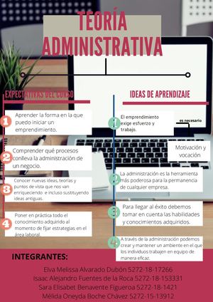 Organizador gráfico