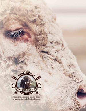 Medicine Hat Bull Sale 2021 Catalogue