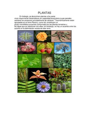 Plantas Laboratorio1