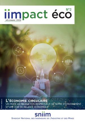Impact Eco N°2 - Décembre 2020