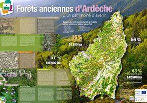 Poster Forêts Anciennes Ardèche 2020