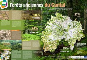Poster Forêts Anciennes Cantal 2020