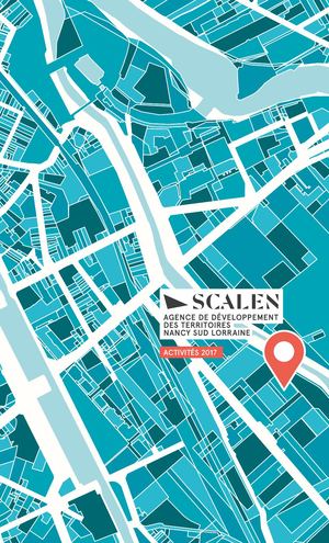 Rapport Activités 2017 Scalen