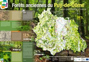 Poster Forêts Anciennes Puy De Dôme 2020