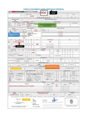 906 Tto Anemia Obstetra Telerorientación