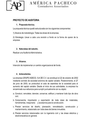 Proyecto De Auditoria