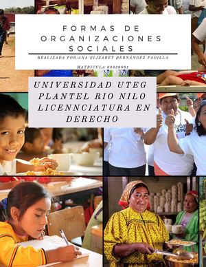 Formas De Organizaciones Sociales
