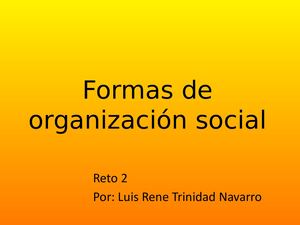 Formas De Organización Social