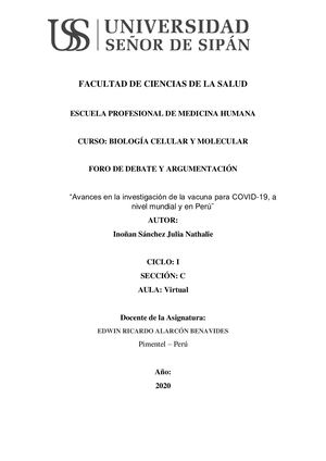 Foro De Debate Y Argumentación Inoñan Sánchez Julia Nathalie (1)