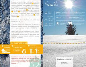 Balade en raquettes - La Vattay