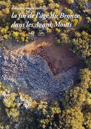 Strategies D Implantation