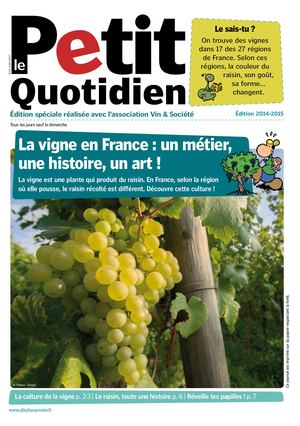 Le Petit Quotidien La Vigne En France