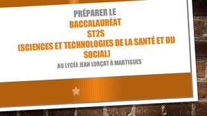 Diapo Section St2s Lurçat 2021