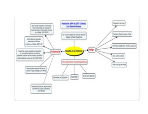 Resolución 2844 De 2007 (Gatiso)