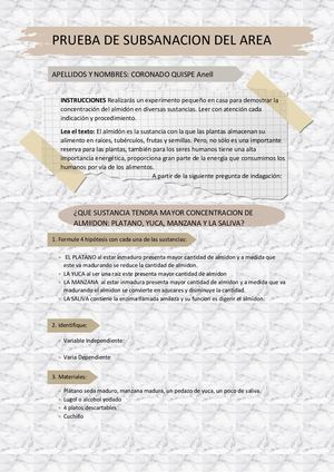 Pruea De Ctf Convertido