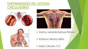 Enfermedades Del Sistema Circulatorio