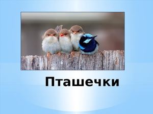 Пташечки