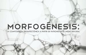 Conceptualización de la morfogénesis