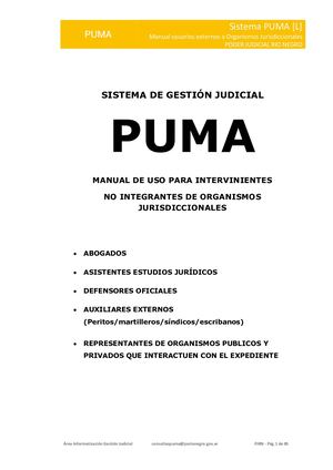 Puma Manual Intervinientes Externos