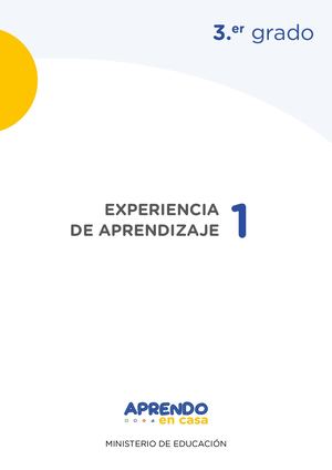 S1 Recuperacion Primaria3 Experiencias 1 (1)