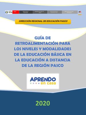 Guía Retroalimentación Distancia