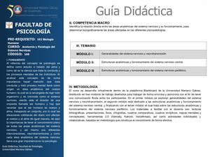 108 Anatomía Y Fisiología Del Sistema Nervioso Pptx