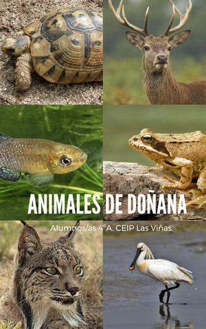 Libro Animales Doñana 4ºa