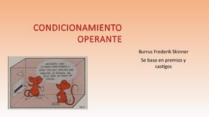 Condicionamiento Operante