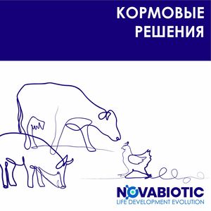 КОРМОВЫЕ РЕШЕНИЯ