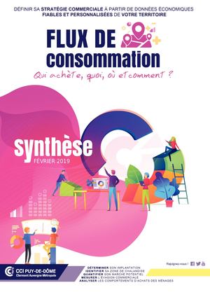 Plaquette Flux de consommation (fev2019)