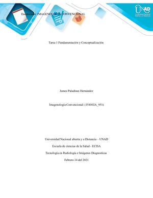 Tarea 1 Fundamentación y conceptualización