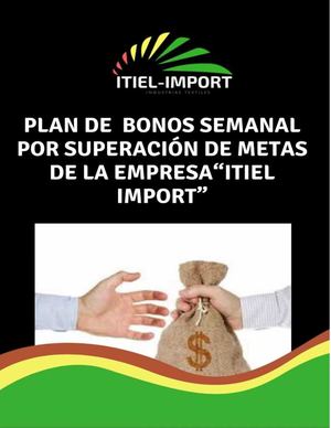 Plan De Bonos